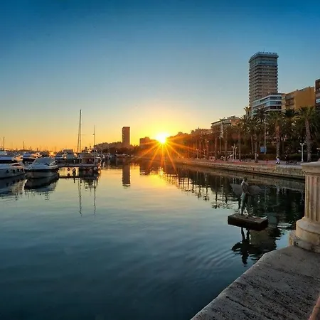 Ap Turist Velazquez Alicante